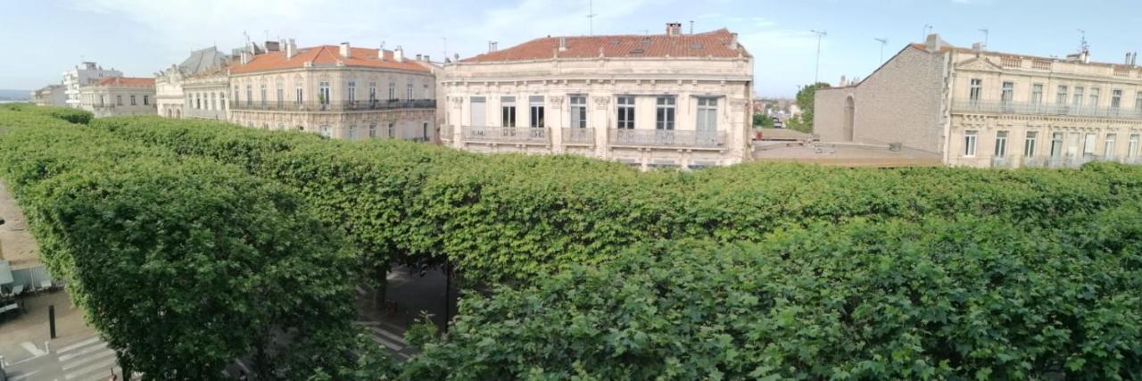 Studio Le Voltaire Sublime & Cosy Proche Gare De Sète Dış mekan fotoğraf